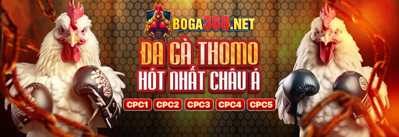 Hình ảnh khuyến khích tải ứng dụng SHBET50 APP