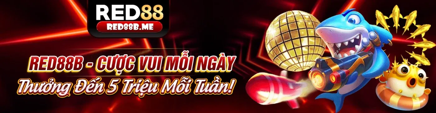 Sân chơi đá gà trực tuyến shbet50 app