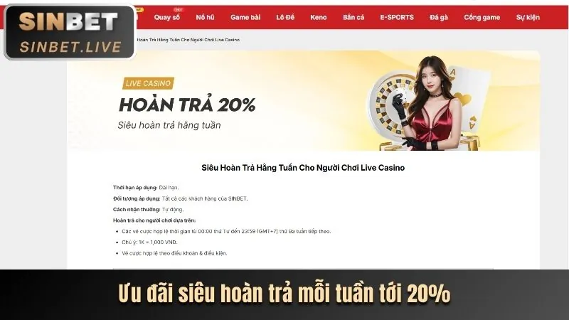 Chính sách Cookie của shbet50 app
